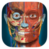 3D解剖学图谱 v2.1.386 解锁高级版